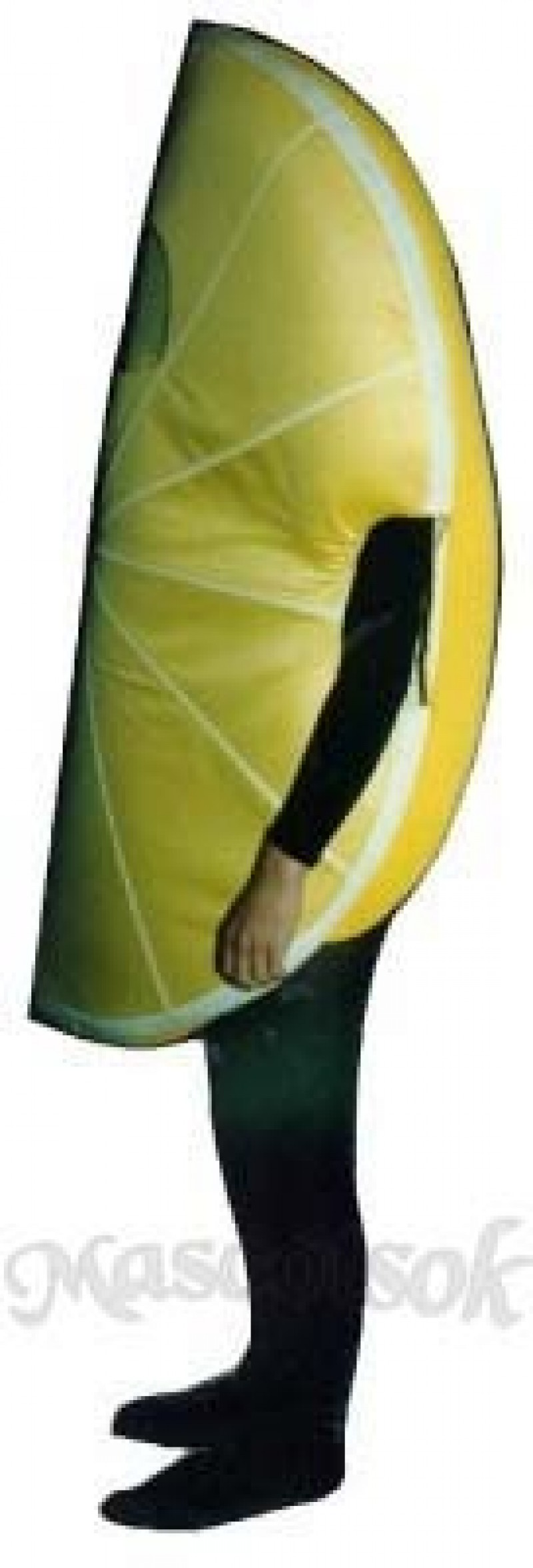 Lemon Wedge Mascot Costume