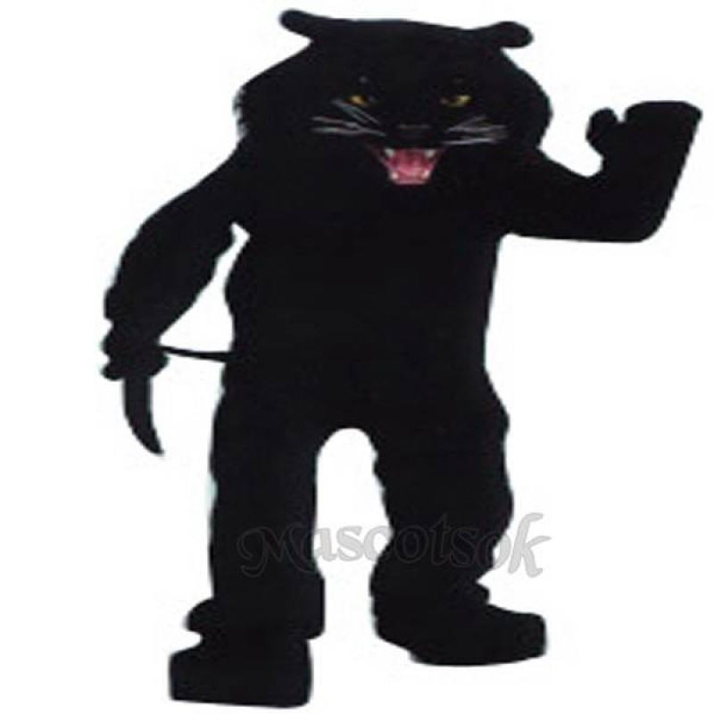 Black Panther Mascot Costume