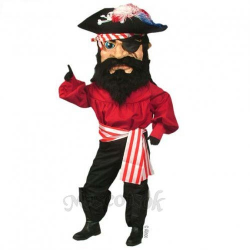 Pirate Mascot Costume