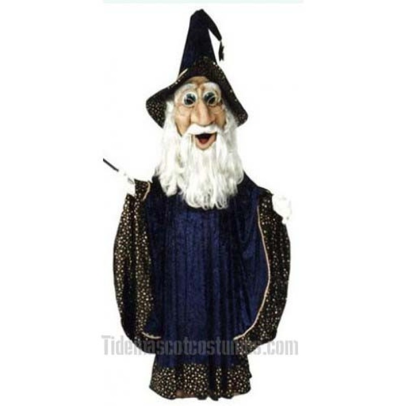 Wizard Mascot Costume