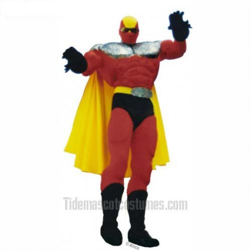 Superhero Mascot Costume