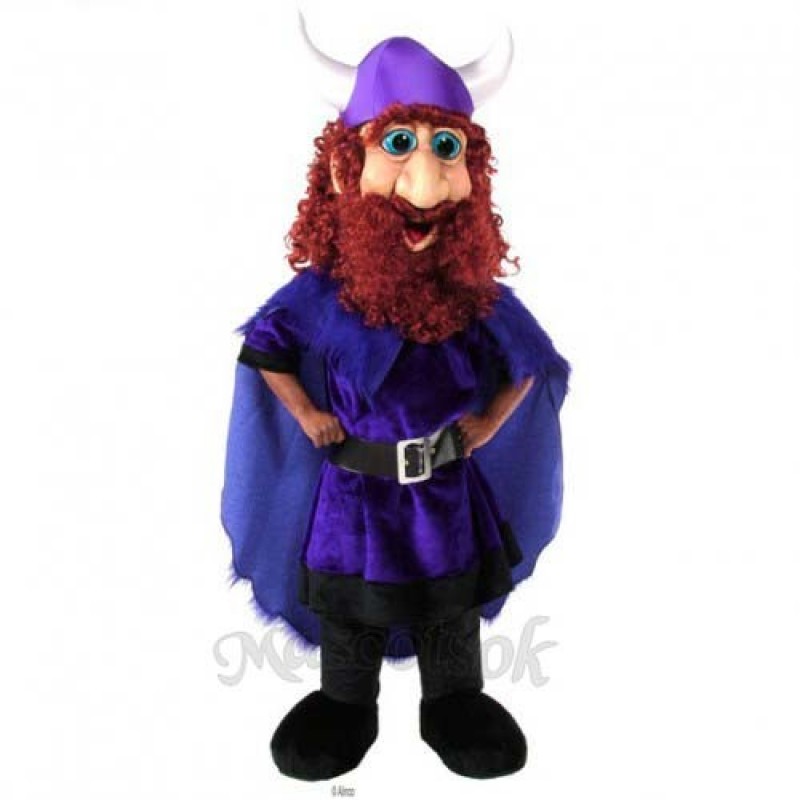 Friendly Viking Mascot Costume