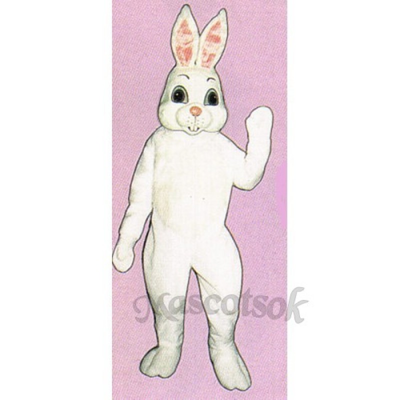 Easter Bunny Mascot Costume