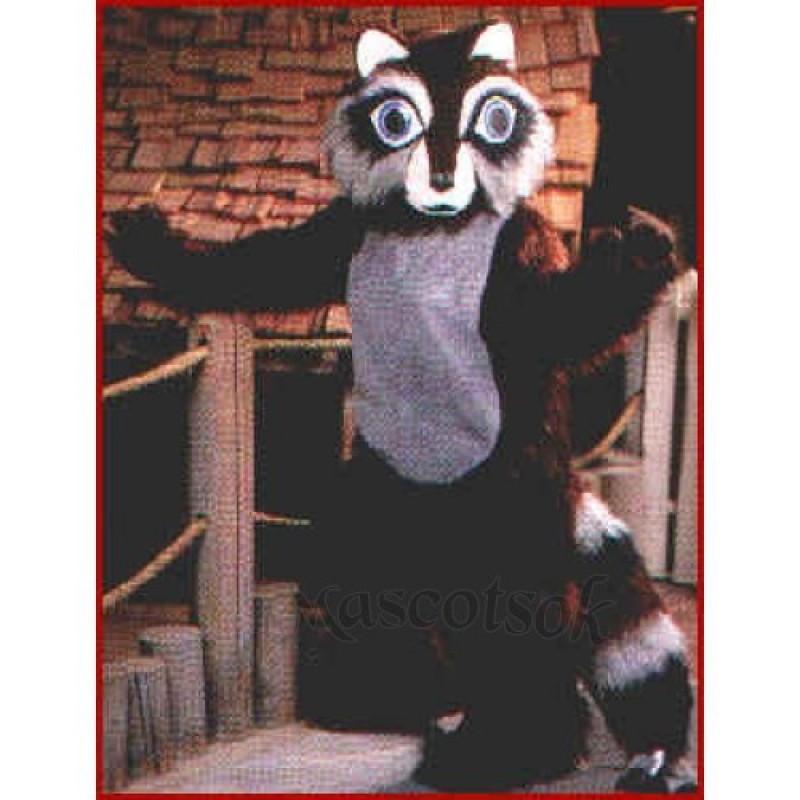 Cute Raccoon Mascot Costume