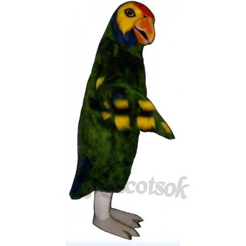 Cute Parrot Mascot Costume
