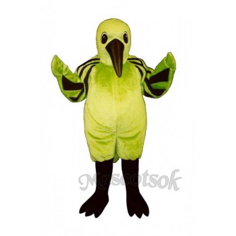 Cute Hummingbird Mascot Costume