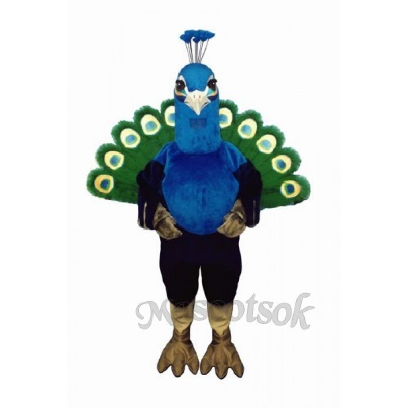 Cute Peacock Mascot Costume