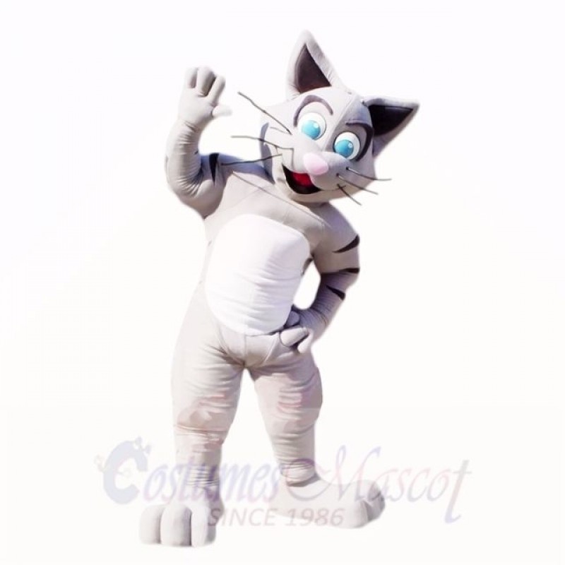 Friendly Gray Cat Mascot Costumes Cartoon