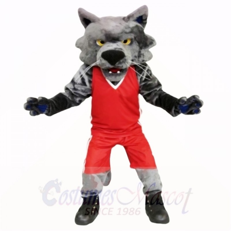 Sport Cat with Red Shirt Mascot Costumes School