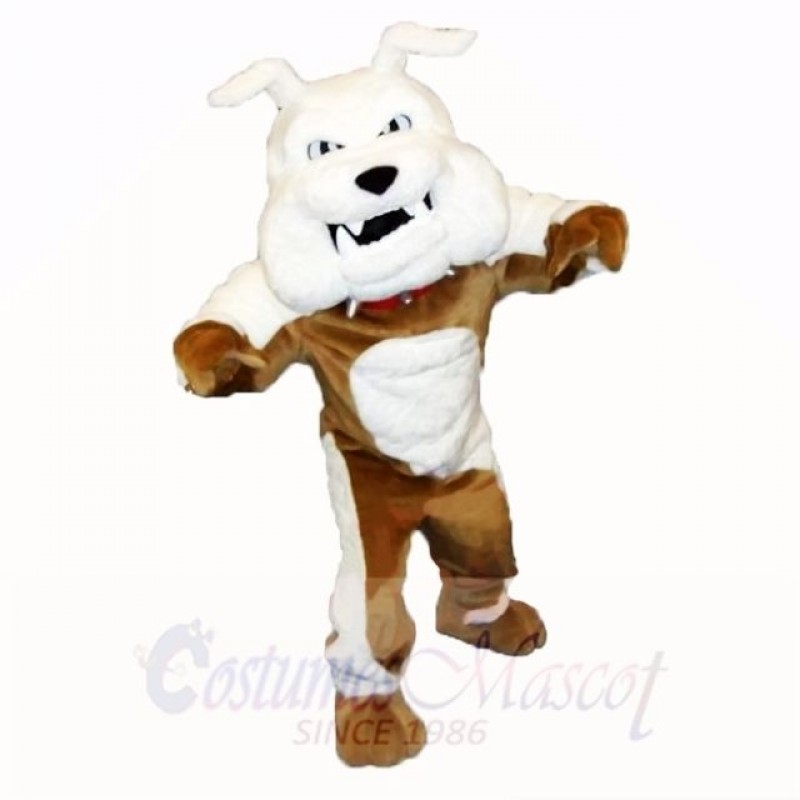 Greenstone Bulldog Mascot Costumes Adult