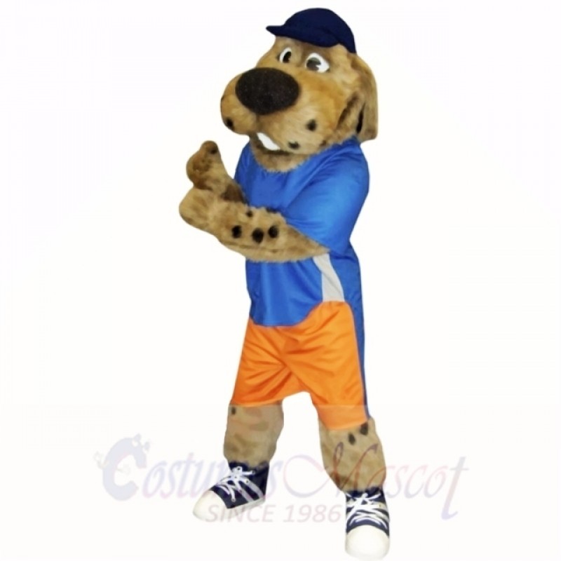 Sport Dog with Blue Hat Mascot Costumes School