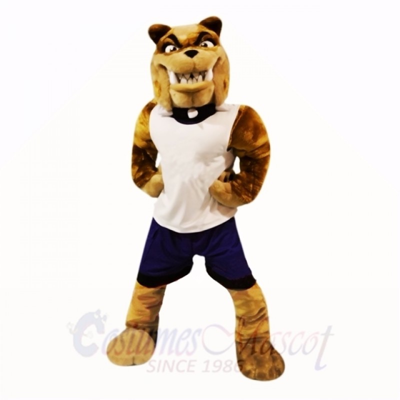 Sport Bull Dog with White Shirt Mascot Costumes Adult