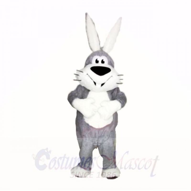 Smiling Grey and White Rabbit Mascot Costumes Cartoon