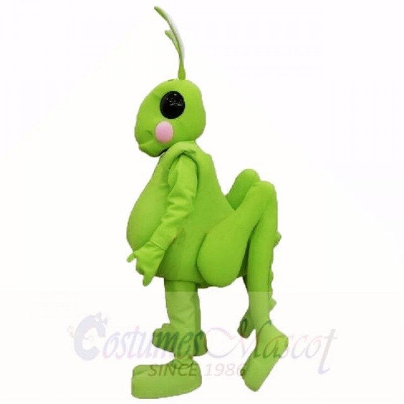 Grasshopper Mascot Costumes Cartoon