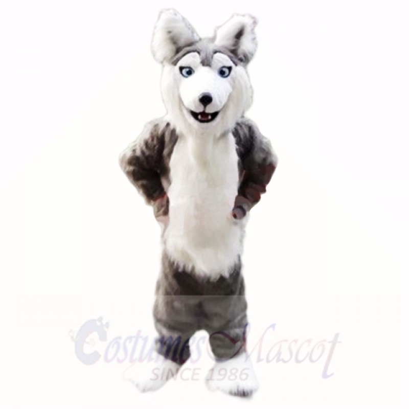 Gray Husky Dog Mascot Costumes Cartoon