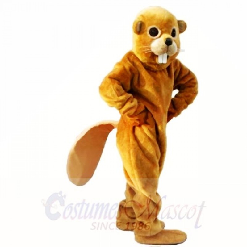 Friendly Yellow Lightweight Beaver Mascot Costumes Adult