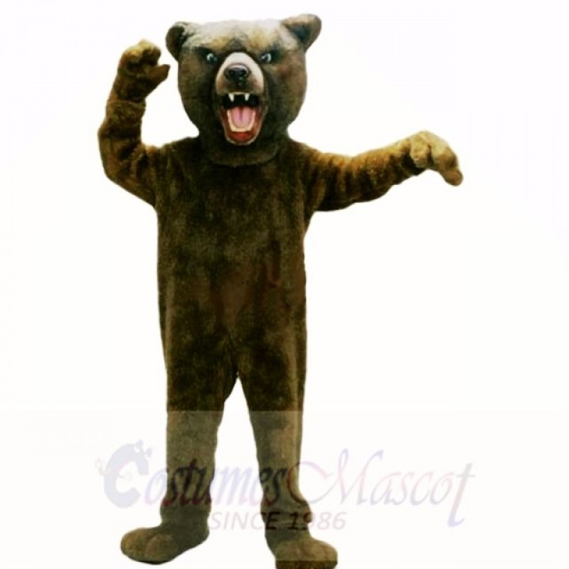 Grizzly Bear Mascot Costumes Adult