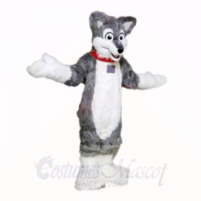 Grey Lightweight Husky Dog Mascot Costumes School