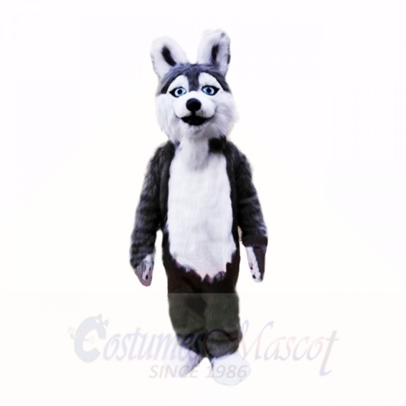 Smiling Grey Plush Husky Dog Mascot Costumes School