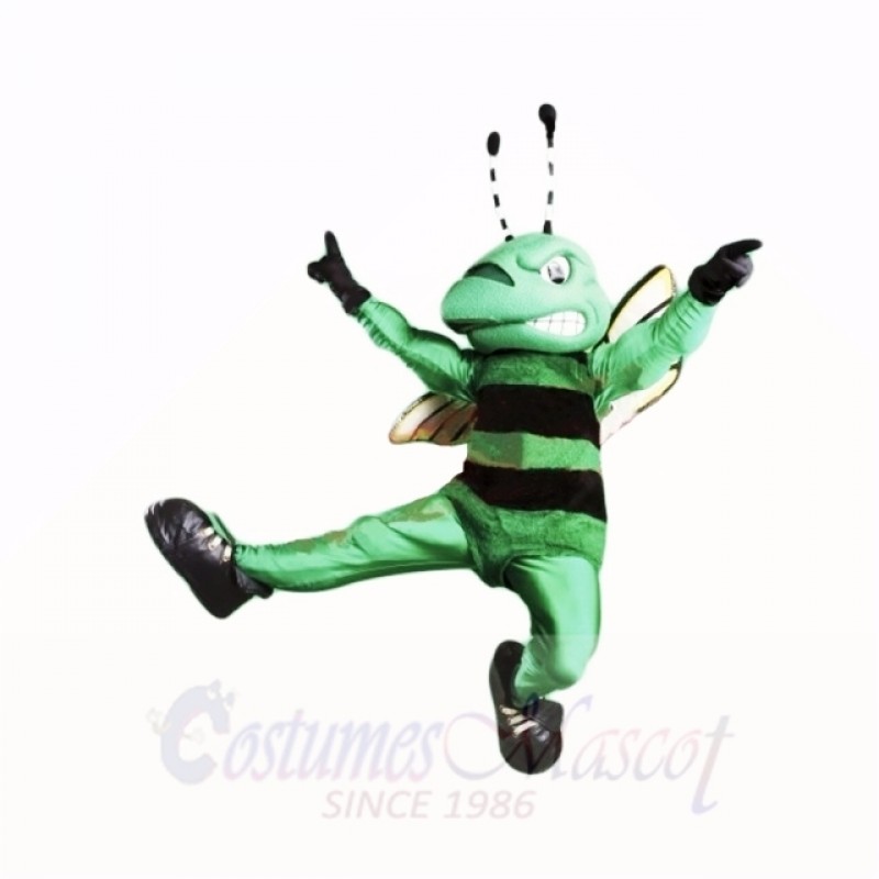Top Quality Green Hornet Mascot Costumes Cartoon