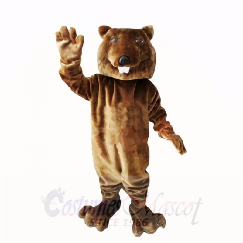 Friendly Brown Lightweight Beaver Mascot Costumes Cheap