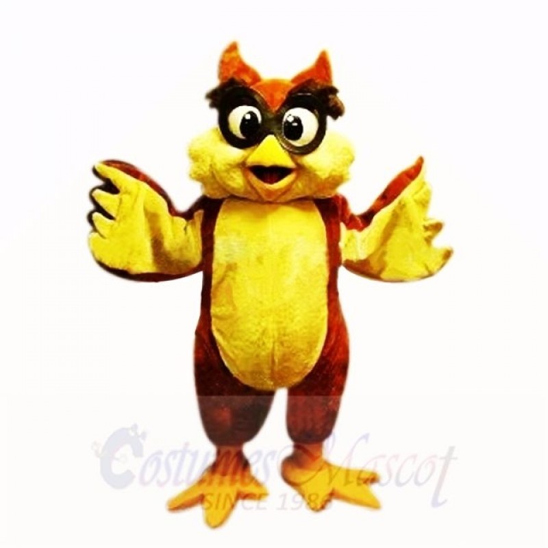 Friendly Lightweight Owl with Big Eyes Mascot Costumes School