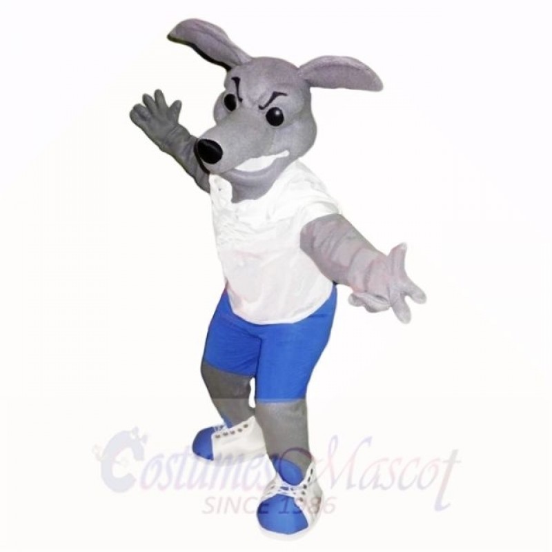 Greyhound Dog With White Shirt Mascot Costumes School 