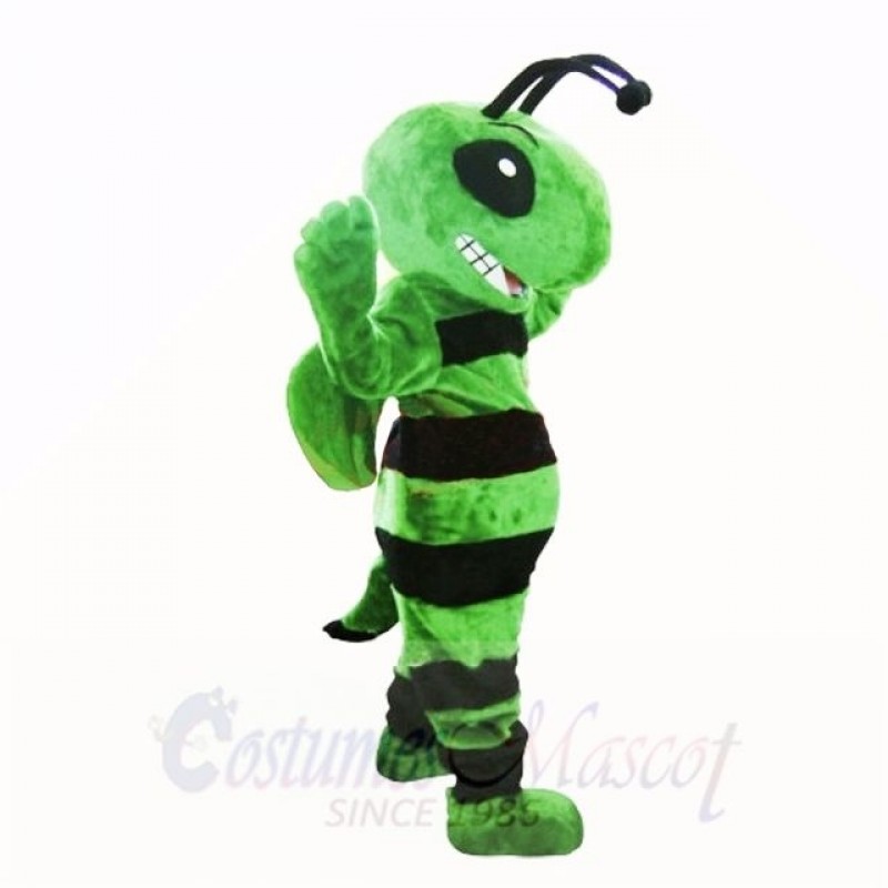 Friendly Green Bee Mascot Costumes Adult