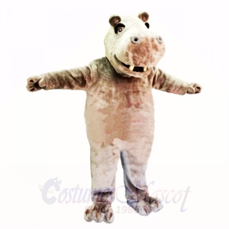 Smiling Friendly Lightweight Hippo Mascot Costumes Cartoon