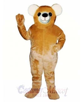 New Teddy Bear Mascot Costume