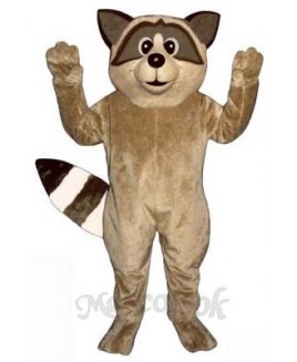 Cute Raccoon Mascot Costume