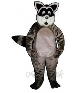Sunny Raccoon Mascot Costume