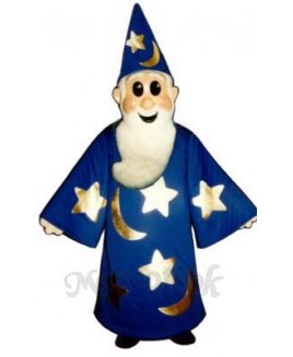 Wizard Mascot Costume