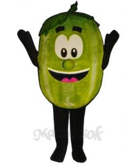 Wally Watermelon Mascot Costume