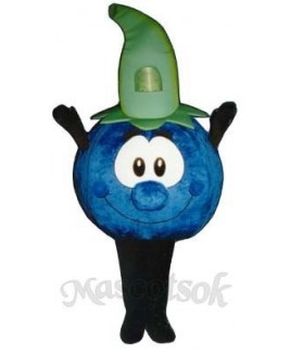 Bobby Blueberry Mascot Costume