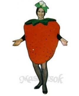 Strawberry Mascot Costume