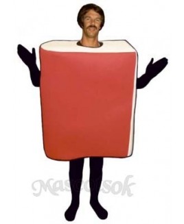 Book Mascot Costume