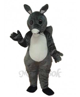 Long Tail Squirrel Mascot Adult Costume