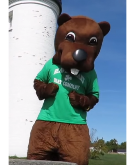 Beaver mascot costume