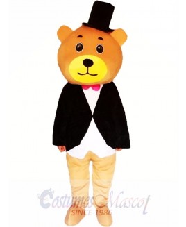 Cartoon Bear Mascot Costumes  