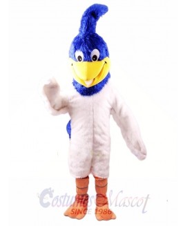 Roadrunner Mascot Costume