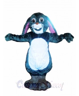 Funny Easter Bunny Mascot Costume