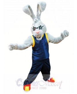 Power Rabbit Mascot Costume