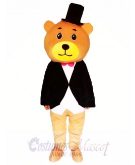 Teddy Bear Mascot Costumes 