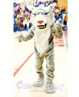 Gray Wildcat Mascot Costume