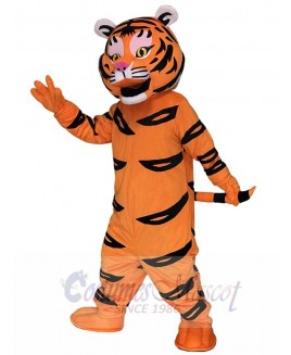 Cute Tiger Ted Mascot Costumes Animal