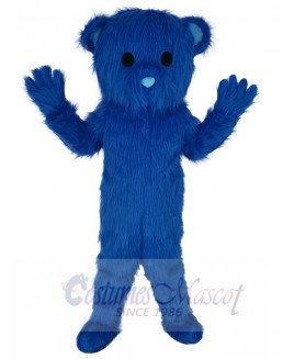 Bear mascot costume