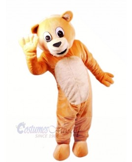 Honey Bear Mascot Costumes Cartoon