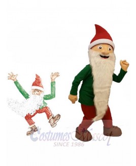 Dwarfs Elf mascot costume
