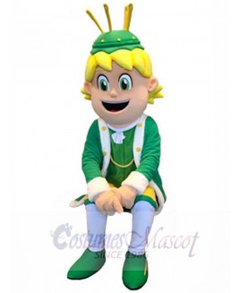 Boy mascot costume